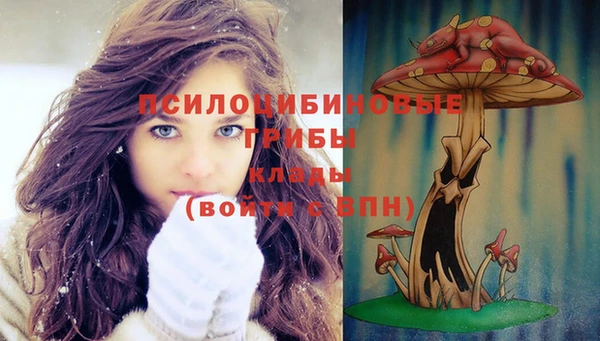 гидропоника Вязьма