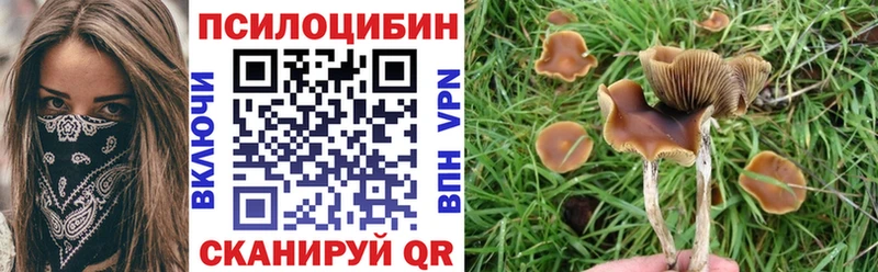 где можно купить Гулькевичи Галлюциногенные грибы GOLDEN TEACHER