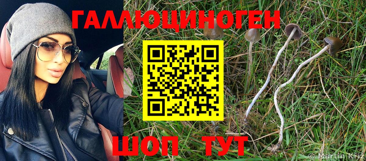 Галлюциногенные грибы MAGIC MUSHROOMS  Псилоцибиновые грибы Cubensis  Гулькевичи 