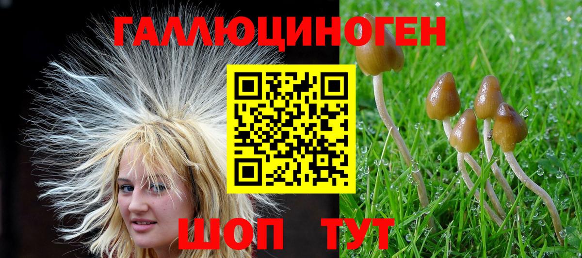 Галлюциногенные грибы мухоморы Гулькевичи